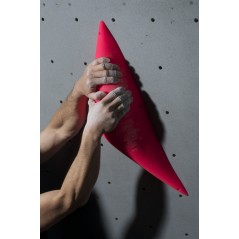 prise d'escalade espace dolphin