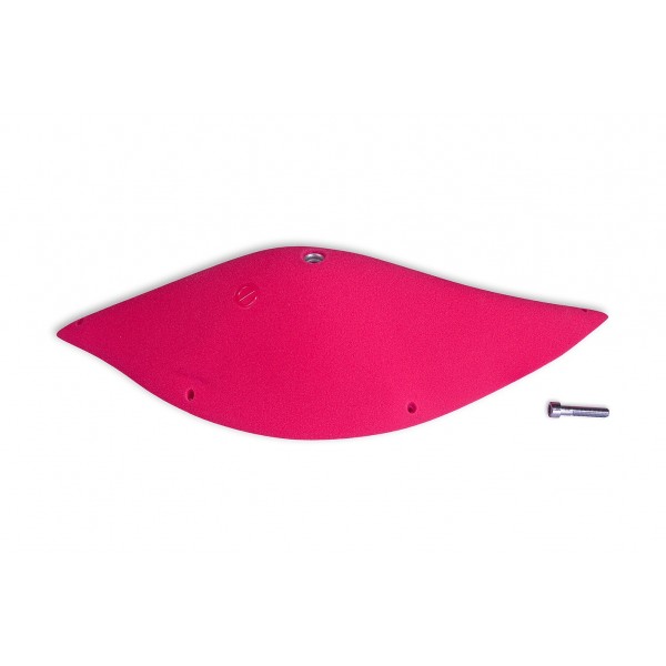 prise d'escalade espace dolphin