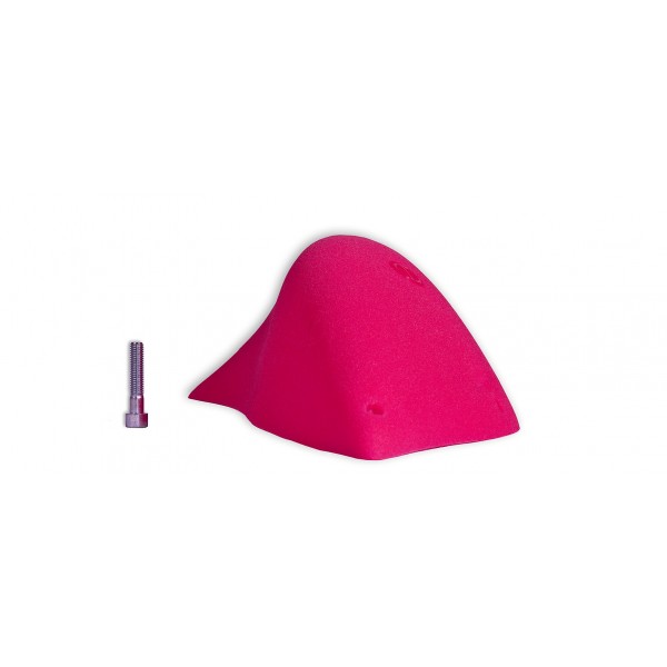 prise d'escalade espace dolphin