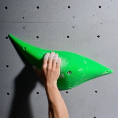 prise d'escalade espace dolphin 2