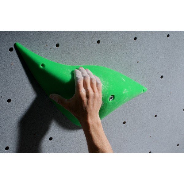 prise d'escalade espace dolphin 2