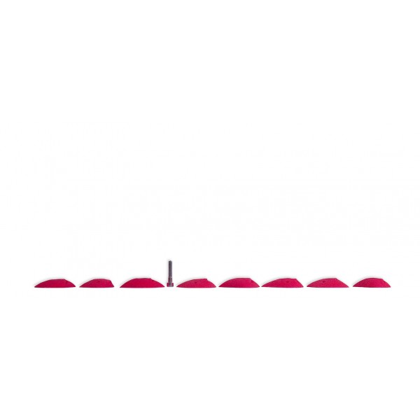 prises d'escalade espace scaring