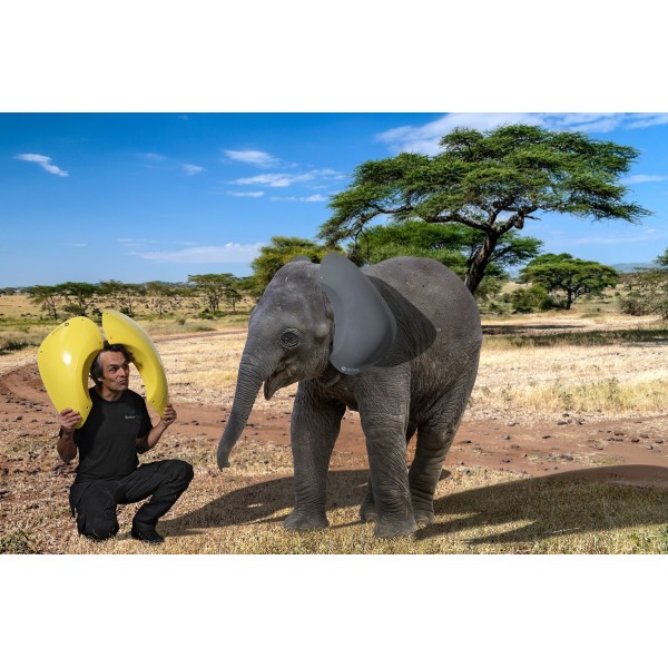 Carving 6 GRP  Jugs mega 52X24